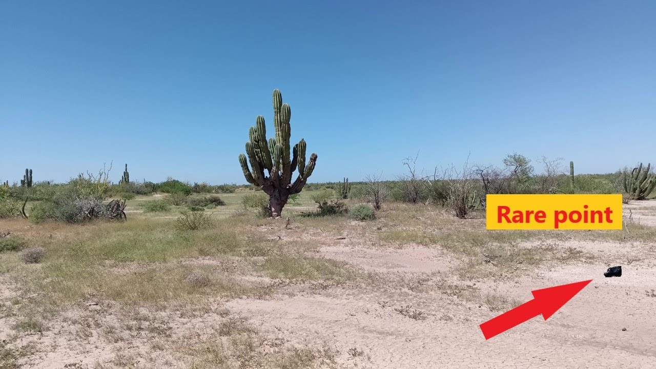 134 ARROWHEAD HUNTING A different tip. YouTube