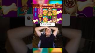 Дай собак🤬 #casino #shorts #zubarefff #зубарев