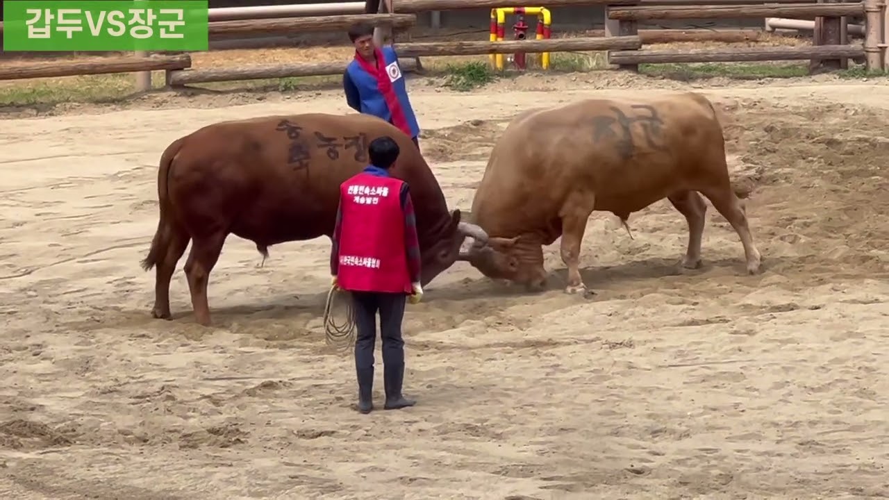 2022 의령대회 “갑두” 경기모음