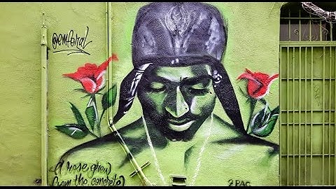 html pre kbd code elements