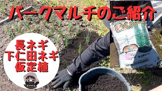 長ネギと下仁田ネギの仮定植とバークマルチのご紹介【夏扇パワー】【下仁田ネギ】【敷くバーク】【仮定植】【家庭菜園】