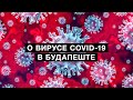 Жизнь Будапешта во время коронавируса (COVID-19)