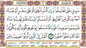 القرآن الكريم مقسم إلى أجزاء | الجزء 5 مكتوب | مقسم صفحات | الشيخ حاتم فريد | مصحف التجويد الملون