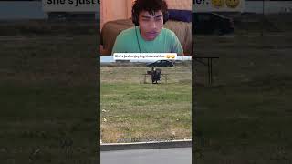 The Weather Was Nice