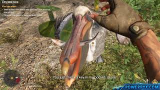 Far Cry 6 - A Little Birdie Told Me Treasure Hunt Walkthrough screenshot 5