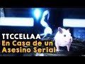 Soy Una Rata Y Descubro Cosas Extrañas Rat Cage TTCCELLAA Soy Una Rata Y Descubro Cosas Extrañas Rat Cage TTCCELLAA