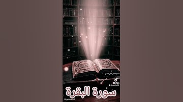 سورة البقرة #اكسبلور #القزابري #دويتو #تيك_توك #المصحف #duet #الرحمن #حالات_واتس #المنذر #لايك