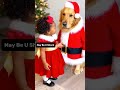 Baby Girl Ask Senta Dog for Gift #christmas
