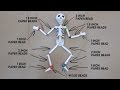 Paper &amp; Plastic Bead Skeleton Marionette Part 1