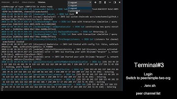 Exercise Enable Peer TLS