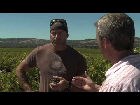 Wine Sense TV - Grenache - A Steal of a Deal