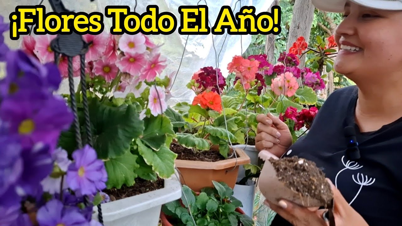 EL MEJOR ABONO ORGÁNICO para PRIMAVERAS 🌺 Más FLORES TODO EL AÑO (100% Natural)