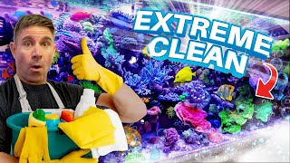 How Clean Is Your 400 Gallon Reef Tank?