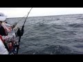 jigging-voyager-航海家路亞-20130409_11280