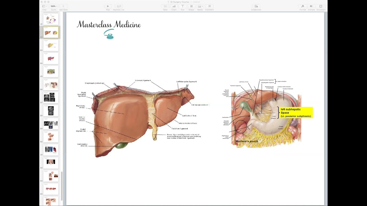 Liver: Part 1 - General Surgery Course (4th + 6th Stages)