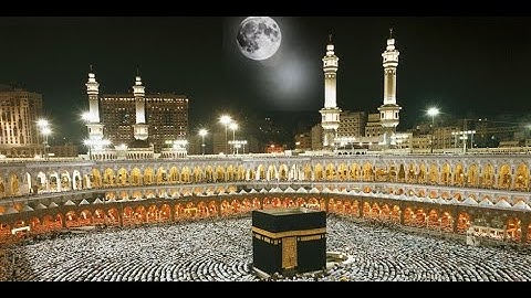 سورة ال عمران - القارئ أحمد محمد سلامه - تسجل من قناة القران الكريم بجودة HD#قران_كريم