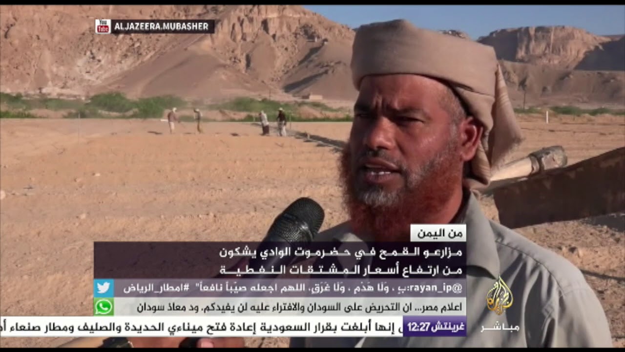 معاناة مزارعي القمح في حضرموت الوادي باليمن