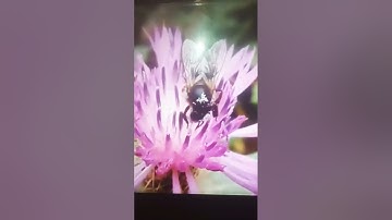 يعلم ما يلج في الأرض تلاوه رائعه مؤثره،😥🍀