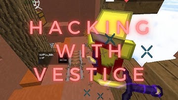 Hacking on BlocksMC with Vestige | New Config