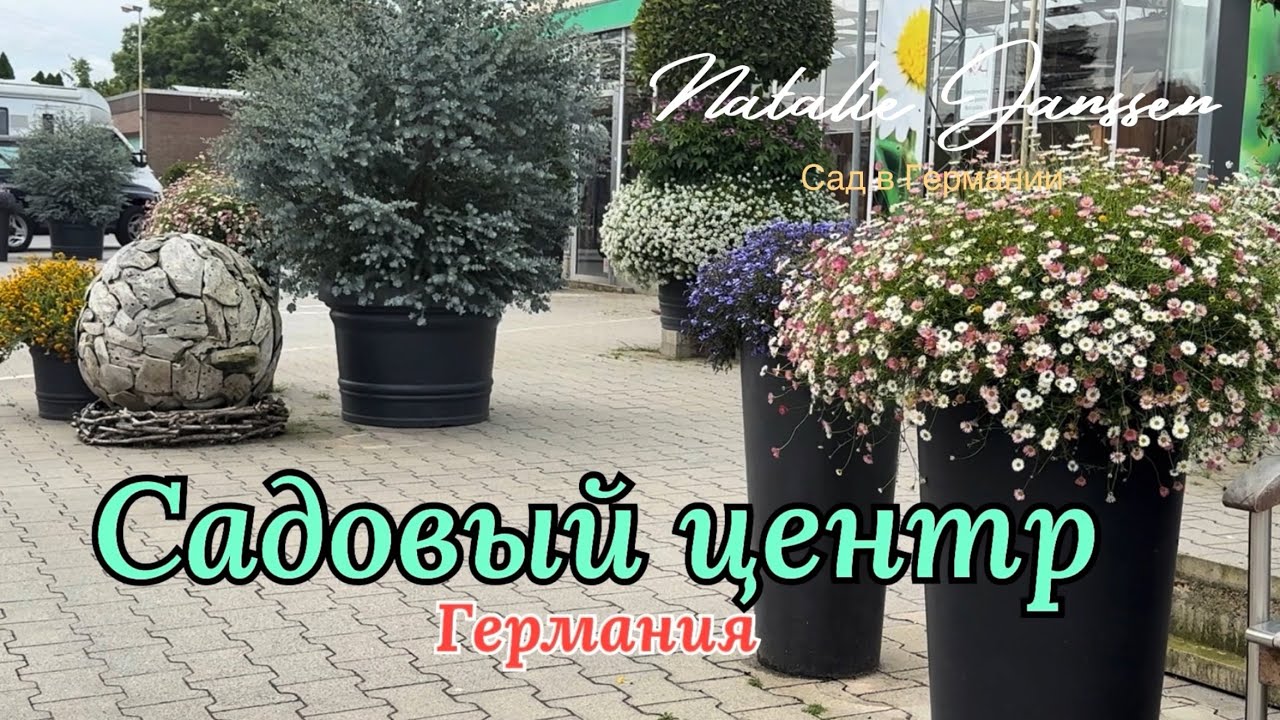 Прогулка по Садовому центру OTTEN в августе 🌿 Ассортимент и цены 🌿 Часть 1. 