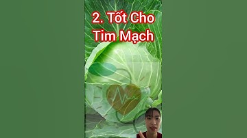 10 lý do nên ăn bắp cải ! #dinhduong #nutrition #health #sứckhỏe #sucsongtre