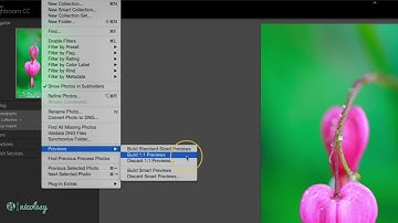 Rendering previews in Lightroom Classic