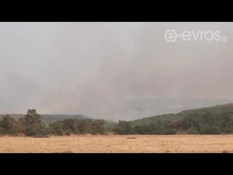 (17:05) Μεγάλο μέτωπο αυτήν τη στιγμή στο δάσος που συνδέει την Αύρα - Ατάρνη με Συκορράχη