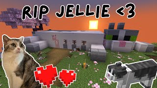 How Jellie Became a Household Name (Tribute to Jellie)