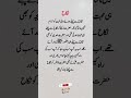 Islamic Reminder About Halal Love | Prophet Muhammad ﷺ & Hazrat Khadijah (RA)