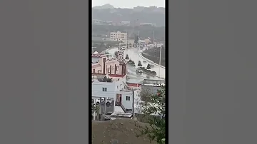 غامدي يدعي يدخل الجنه قبل زهران عشان يكايدهم 