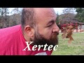 Funny Xertec Commercial in Armenian