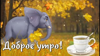 С Добрым Утром! Хорошего Настроения На Весь День)