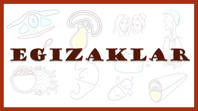 Wally jinsiy aloqa Remy Lacroix Dikni soradi va dosti bilan qattiq jinsiy aloqada boladi