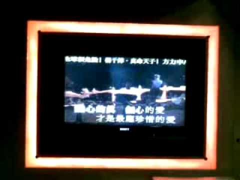 勁似譚詠麟 偏愛 譚詠麟 演唱會 2009 Alan Tam