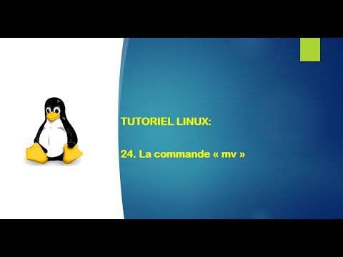 Vidéo: Qu'est-ce que la verbosité sous Linux ?