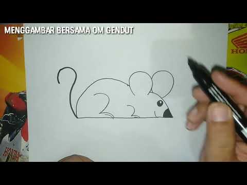 Video: Cara Menggambar Tikus