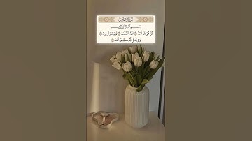 سورة الأخلاص - الشيخ احمد العجمي 💚🌿 #quran #المصحف #allahquran #لايك