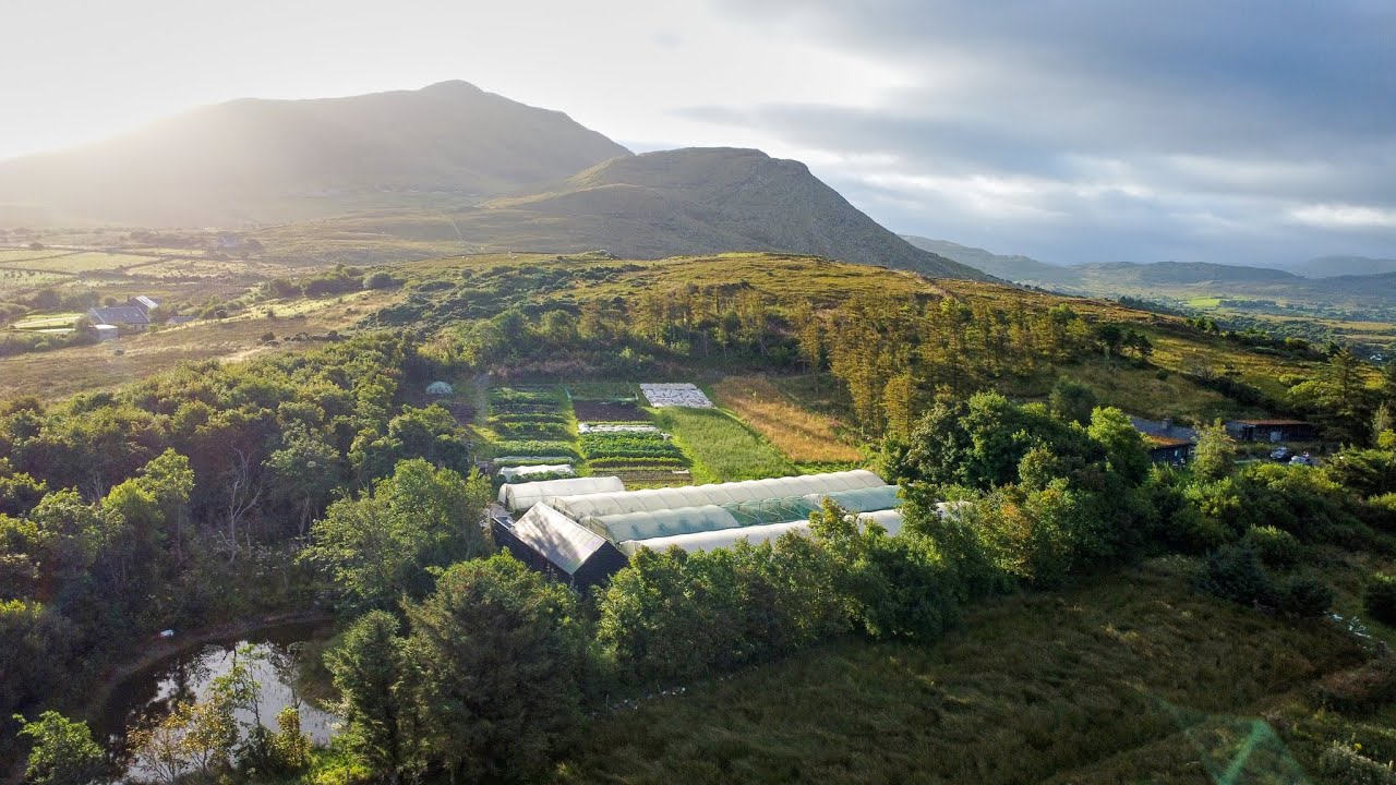 Tommy Conroy's Farm, Louisburgh, county Mayo