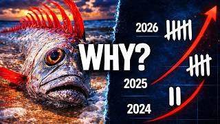 Why Do Rare Sea Serpents ("Doomsday Fish") Show Up So Often Now?