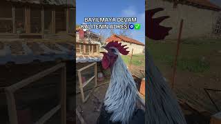 Nami Değer Bayilan Horoz Battal Bey