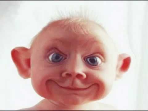 اكثر الاغاني المجنونه والمحششه