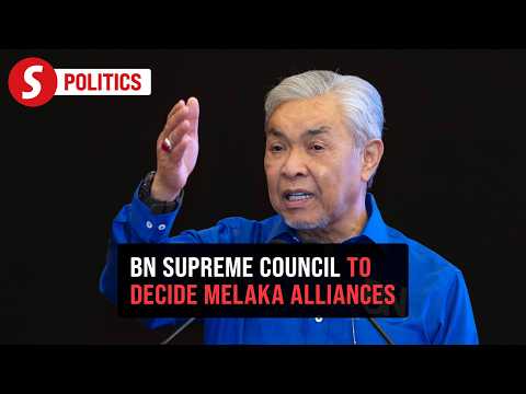 Melaka polls: BN supreme council to decide on any alliances, says Zahid