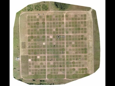 Ground-truthing drone data with an iconic ecology experiment