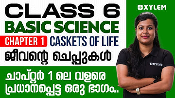 Class 6 Basic Science | Chapter 1 - Caskets of Life / ജീവൻ്റെ ചെപ്പുകൾ | Xylem Class 6