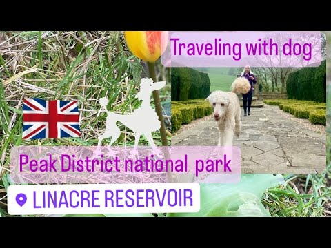 Linacre reservoirs Peak Districts national park traveling with dog