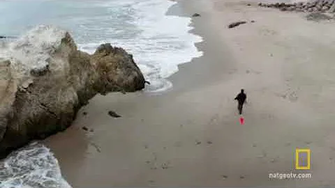 Weather Versus Climate Change   Cosmos  A Spacetime Odyssey 16s   1m36s cBdxDFpDp k 2401