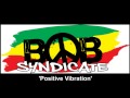 Bob Syndicate - Positive Vibration