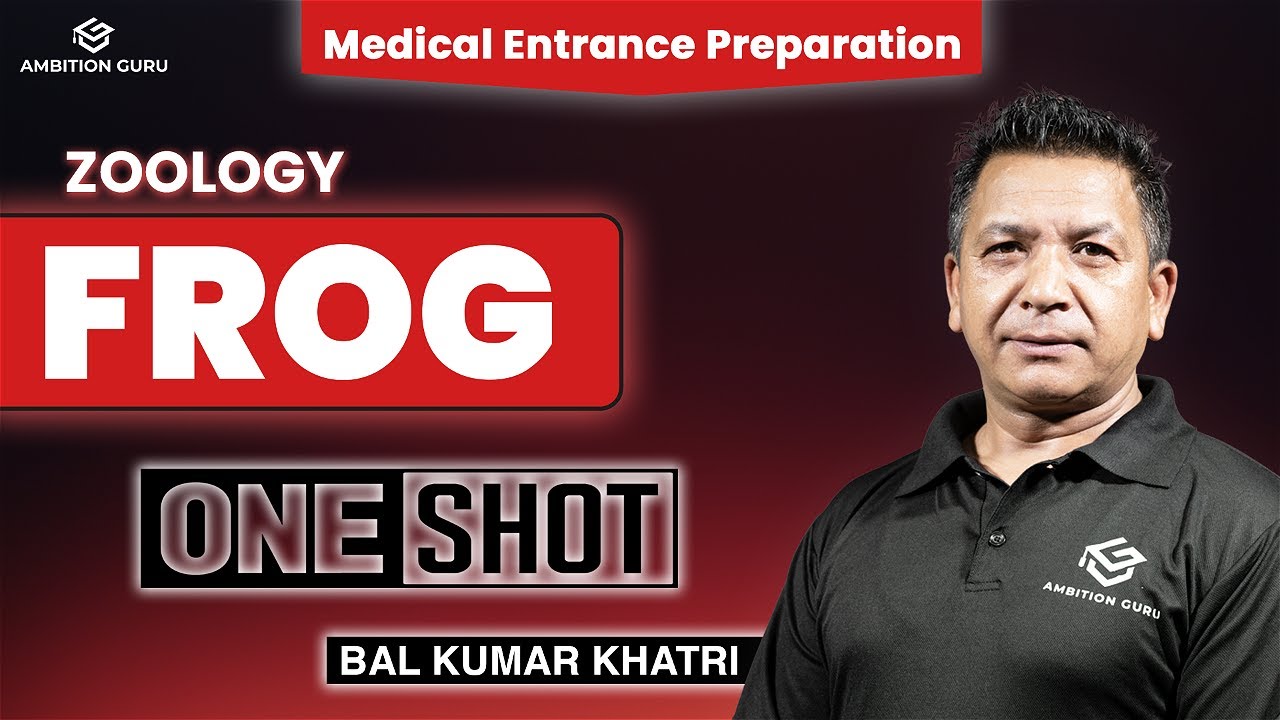 Frog in one shot | CEE | Medical Entrance Preparation | Zoology | Ambition Guru