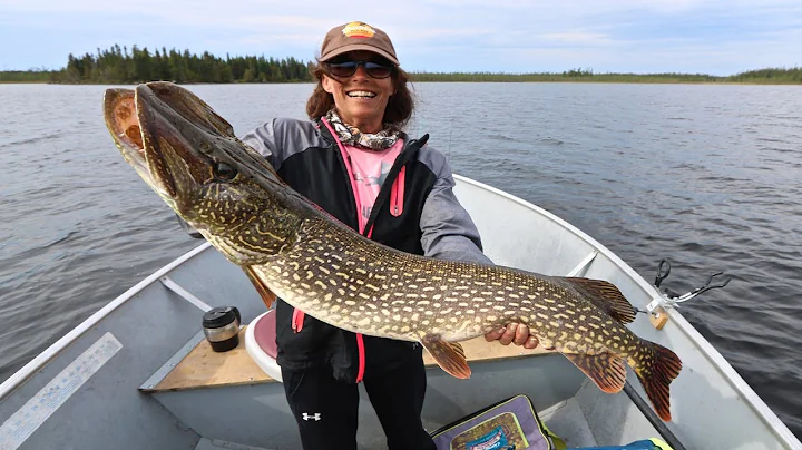 Steph's Big Smoothrock Pike
