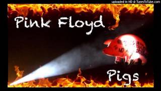 PINK FLOYD  PIGS ANIMALS